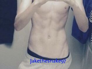 Jakethesnake97