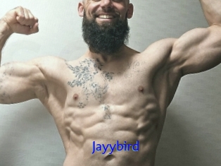 Jayybird