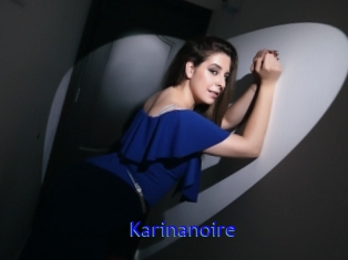 Karinanoire