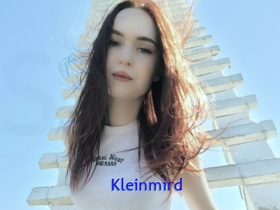 Kleinmird