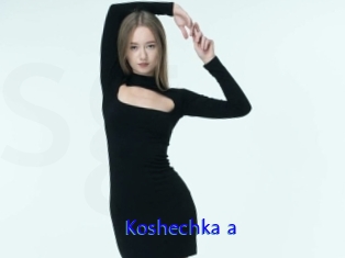 Koshechka_a