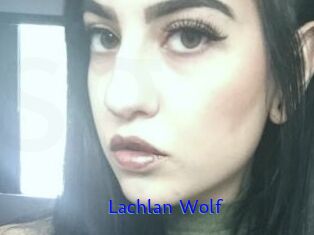 Lachlan_Wolf