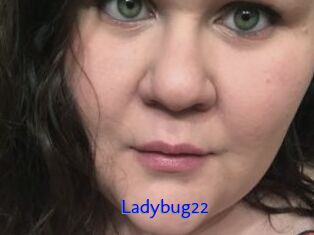 Ladybug22