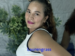 Laurengrass