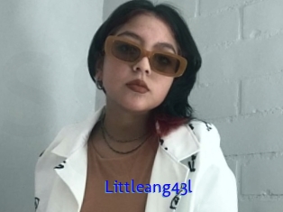 Littleang43l