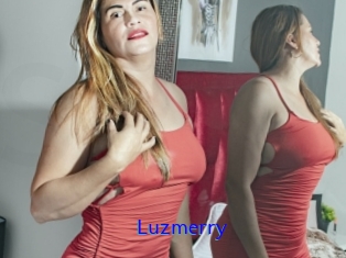 Luzmerry