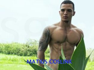 MATIUS_COSLINK