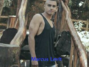 Marcus_Levit