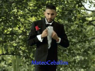 MateoCeballos