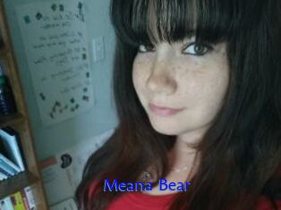 Meana_Bear