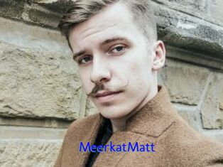 MeerkatMatt