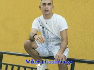 MikeSantodomingo