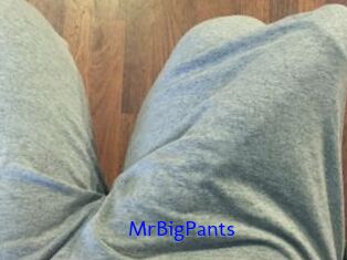 MrBigPants