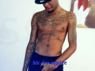 Mr_Savagelee