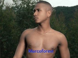 Marcoforest