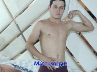 Marcusorgus