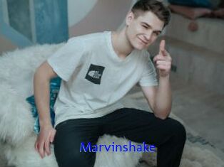 Marvinshake