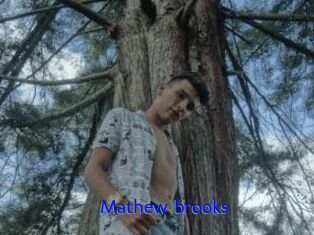 Mathew_brooks