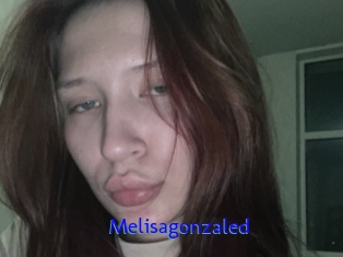 Melisagonzaled