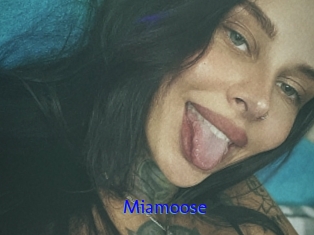 Miamoose