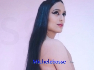 Michelebosse