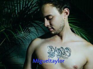 Migueltaylor