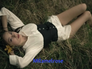 Milamelrose