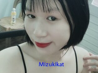 Mizukikat