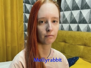 Mollyrabbit