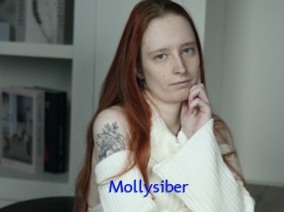 Mollysiber