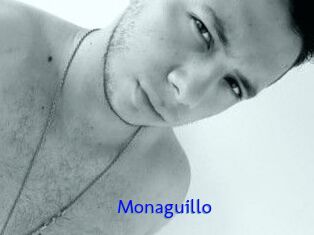 Monaguillo