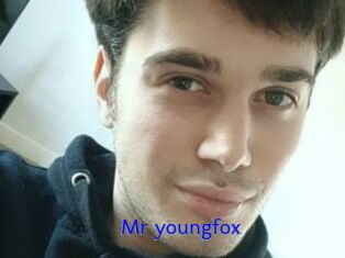 Mr_youngfox