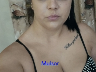 Muisor