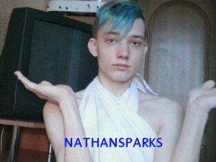 NATHAN_SPARKS