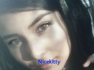 Nicekitty