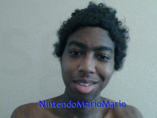 NintendoMarioMario