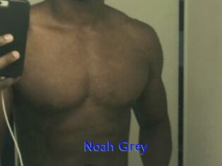 Noah_Grey