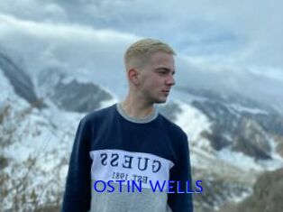 OSTIN_WELLS