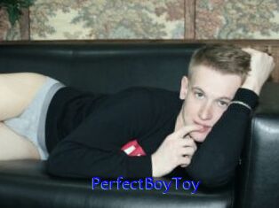 PerfectBoyToy