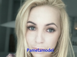 Pamelamodel