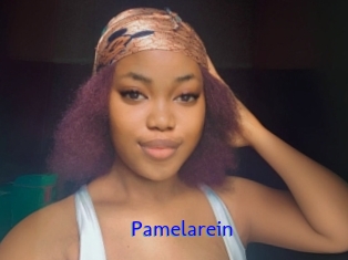 Pamelarein