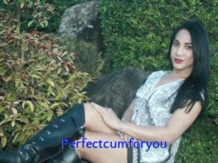 Perfectcumforyou