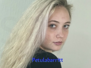 Petulabarritt