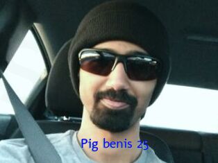 Pig_benis_25