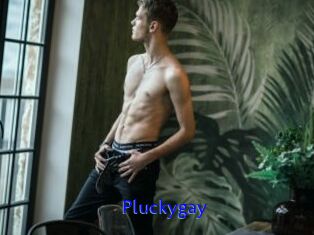 Pluckygay