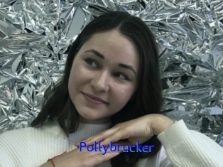 Pollybrucker