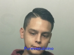 Purevestalnino