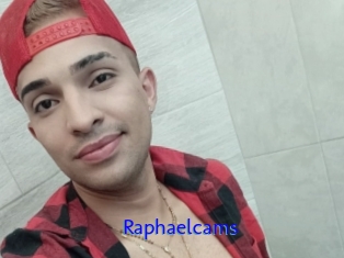 Raphaelcams