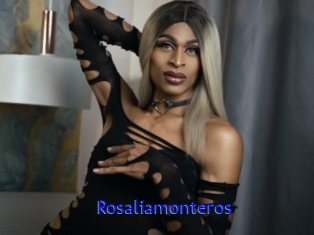 Rosaliamonteros