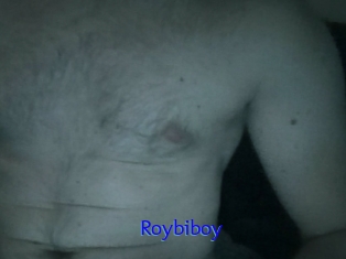 Roybiboy